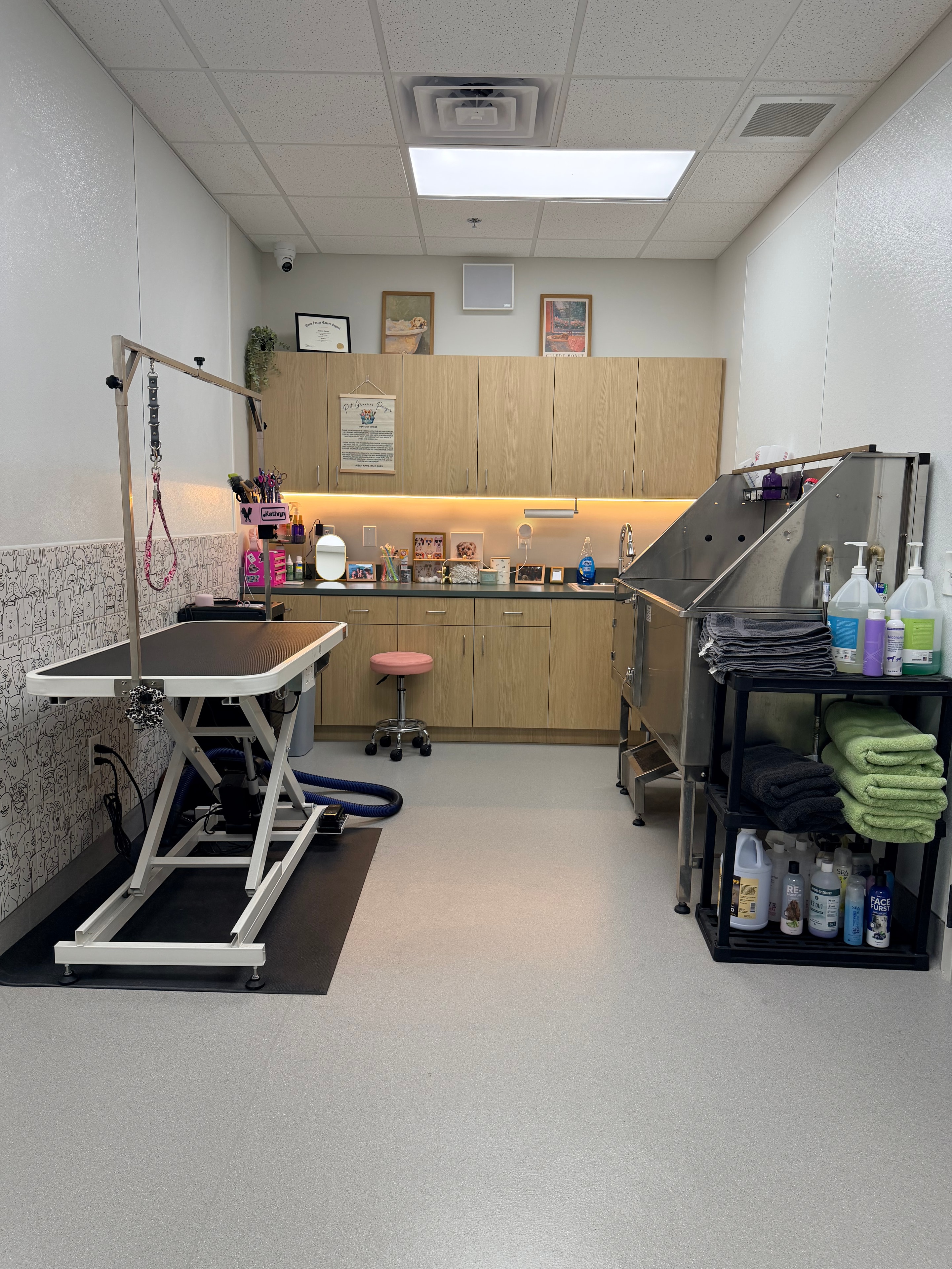 Inside Bark Avenue Pet Spa grooming workspace with tables, bathing area, and grooming supplies